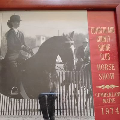 American Saddle Bred