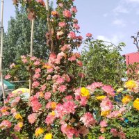 nageswararao | ETHGas ⛽