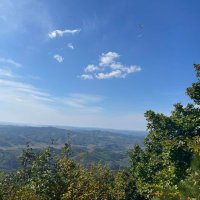 shubham chouhan | ETHGas ⛽