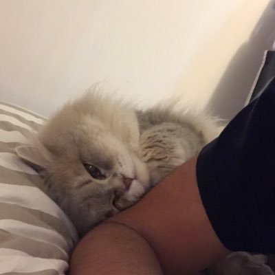 DoubleA🇪🇬🇵🇸