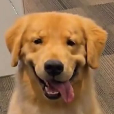 พ่อคนบางพลี พ่อปลาสลิดบางบ่อ