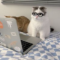 DreamyMoods🦋 ภพเธอ ๒๗ มีนานี้ ✨️🤍