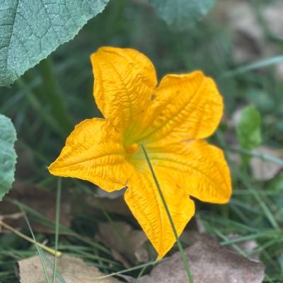 Trillionaire mindset