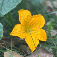 Trillionaire mindset