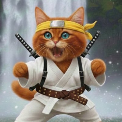 Trader壹身武艺｜🔶BNB| IQ16 🕊️