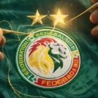 🇸🇳InDaPocket⭐️⭐️🪫