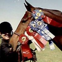 Texan widow of a combat vet