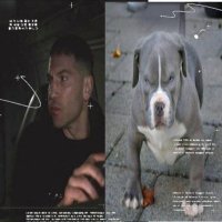 frankie .⋆♱⃓ nsfw dni