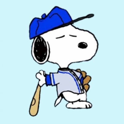 𝕊𝕒-𝕔𝕙𝕒𝕟🐹💙