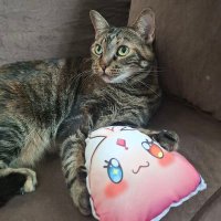 icro soursun will🌄🦇🕷💜