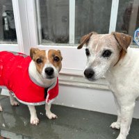 Baby Beatrice & Little Bear