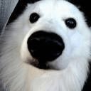 🇯🇵 JI1IKC 🍥