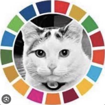 Beach Roy ☀️🏖️🌊🤙