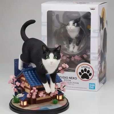 太郎（riku6030）