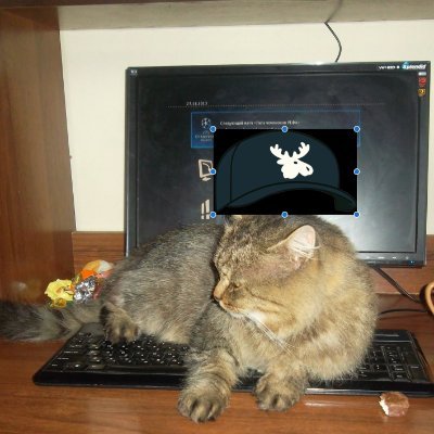 Stacy_G | base.eth | 🫎 | .sand