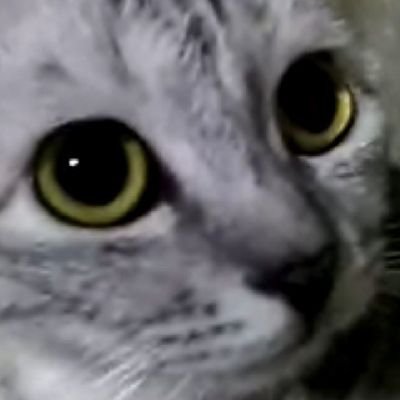 ノノヴィノビア