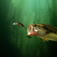 R & J Bass Fishing News and Updates