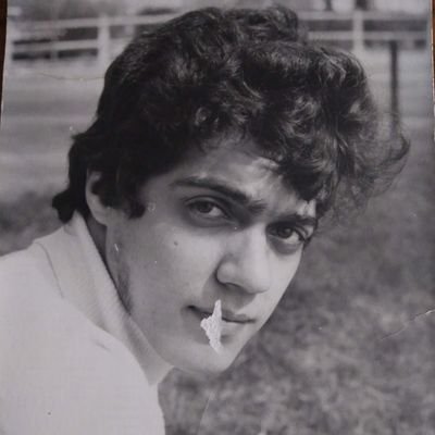 Gaulois réfractaire 974