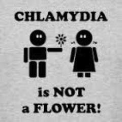Chlamydia Officinalis