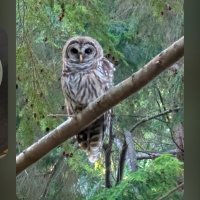 I:AM:HERETIC:INVESTIGATOR:AM:I