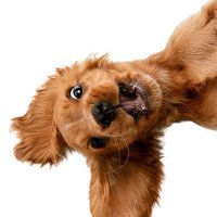 WalkingInCirclesAskingForDirections