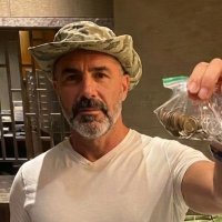 Dr. Polo | IA 𝕏🎭