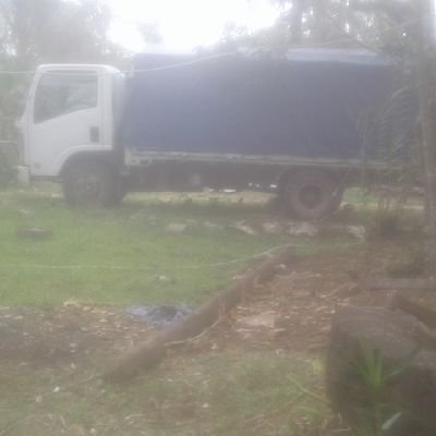 Four Fifty 🇵🇬🐾