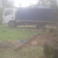 Four Fifty 🇵🇬🐾