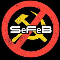 SeFeB