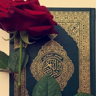 zohra | Quran Reflections