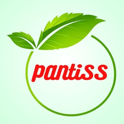 Pantiss Responsible Mining