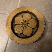 江戸蘭世🍀ひなすけ