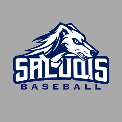 Southwest Tennessee Baseball