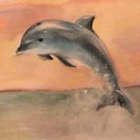 BornforU☁️☁️🐤🐧🦫🦊💙❤️💛💚