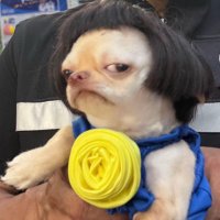 น้องพริกป่นชน์ ควอง🦮🌵