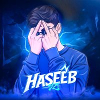Haseeb DZI