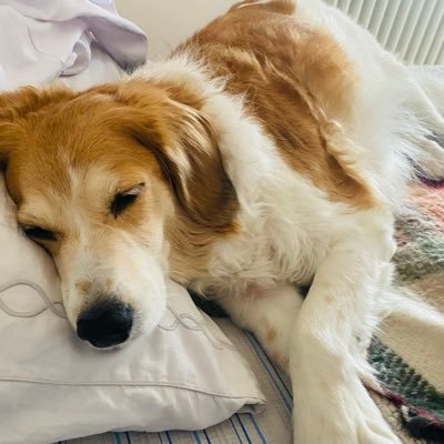 ๐ฟโ ๐๐๐ฐฬ๐๐ช๐๐ฐ ๐ฅ๐ ๐บ๐ช๐ฬ๐ฎ๐๐ญ๐๐ค๐