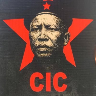 🇿🇦EFF Ground Force🇿🇦