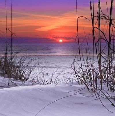 Marilyn 🇺🇸 🙏