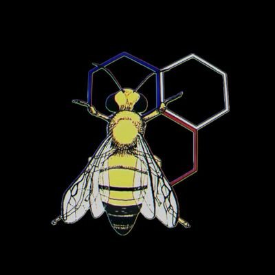 Albert 🇫🇷🇮🇹🇭🇺🕊️