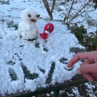 .・*🪭美絵BON🌳*・.