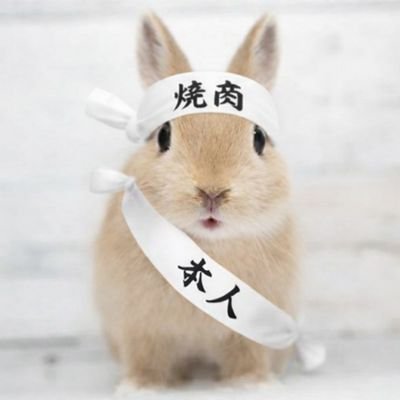 はろ🟠参政党うさぎ