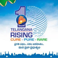 Telangana Rising 2047