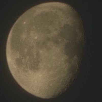 Pork Chop Express 72