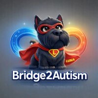 Bridge2Autism Community