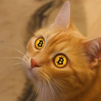 wija (🍊,💊) π² Zetarium $XAGE