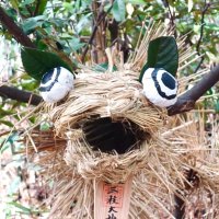 𝕐𝕠-𝕤𝕦𝕜𝕖𝕩