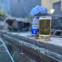 inside my brain cells