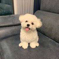 JIN Ticketing Service