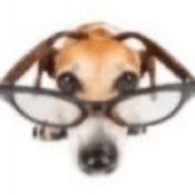 memelere şapka kanunu